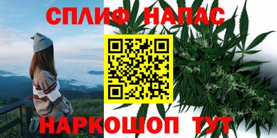 мяу мяу мука Бузулук