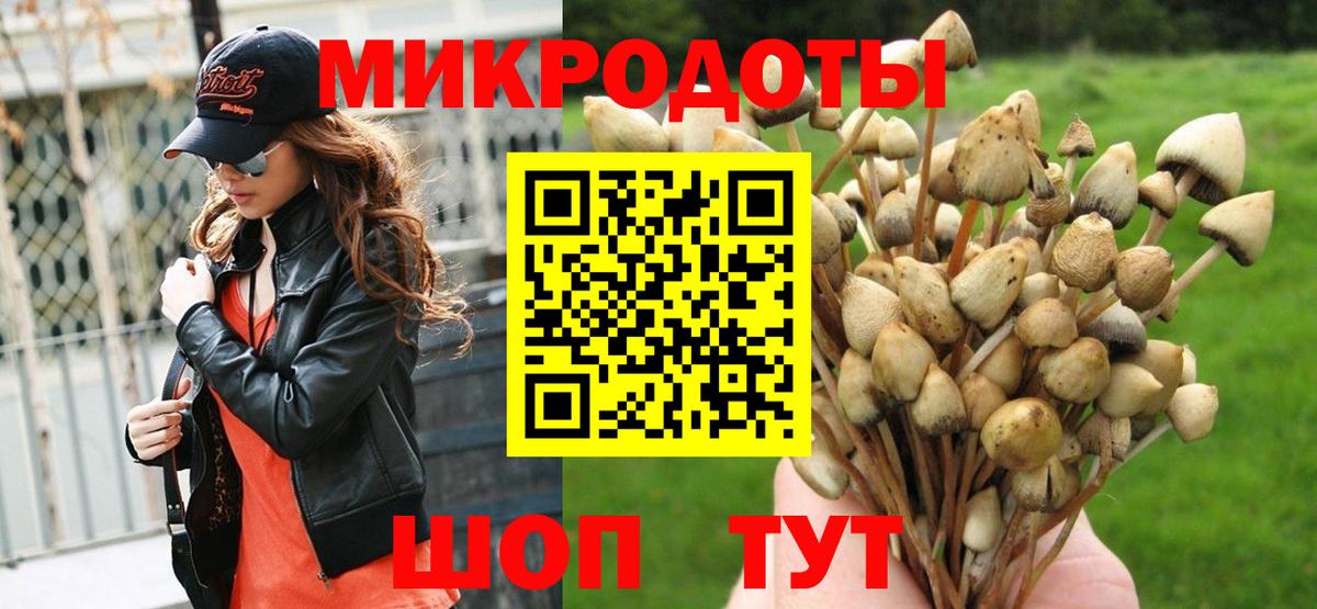 Черногорск  Псилоцибиновые грибы Magic Shrooms  Вход с VPN 