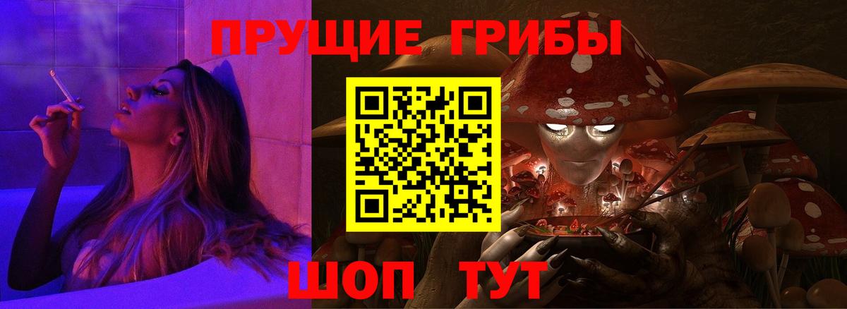 Псилоцибиновые грибы Psilocybine cubensis Черногорск